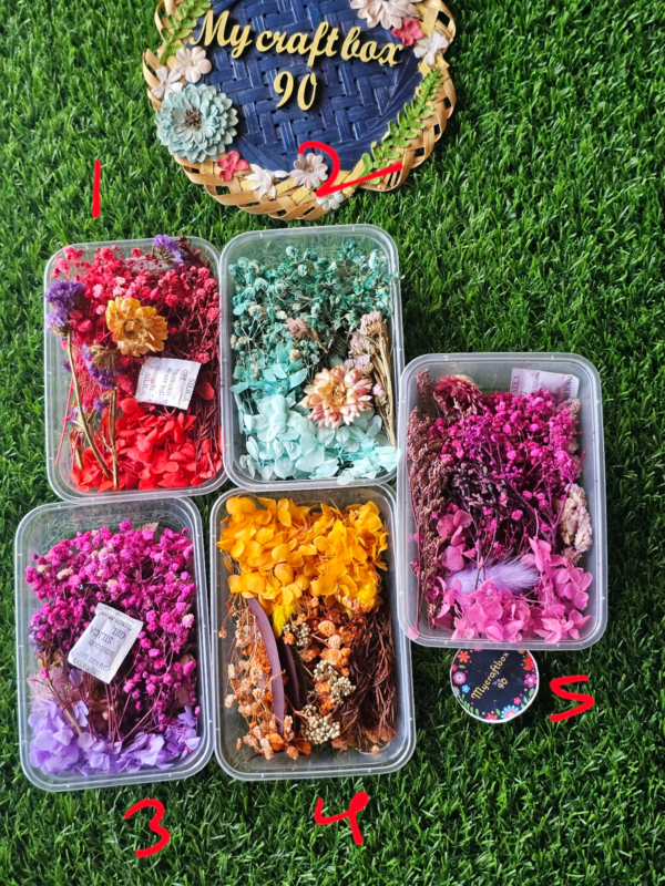 New lot Dried Flower box 89/- each